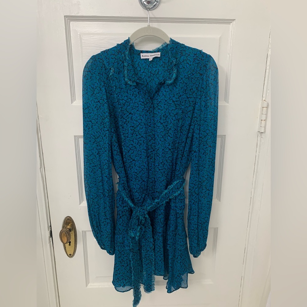 Karina Grimaldi button down long sleeve ruffle dress